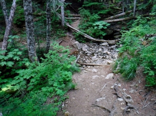 Burnt Lake Creek Crossing