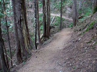 On Burnt Lake trail back to my car