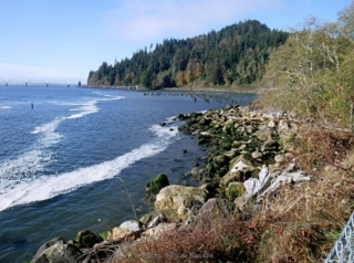 Piling left at Dismal Nitch from docks