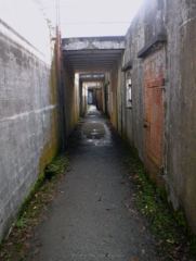 Walk way behind ammunition bunker