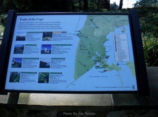 Trails at Cape Disappointment