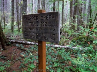 We started on the Trapper Creek Tr. but quickly led to Dry Creek Tr.