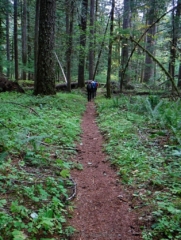 Starting our walk in the woods