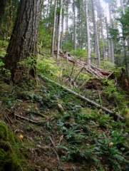 The trail skirts a steep hill