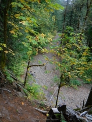 Looking down on Dry Creek