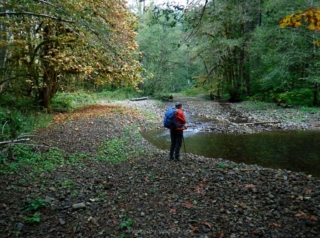 We got access to a not so dry Dry Creek.