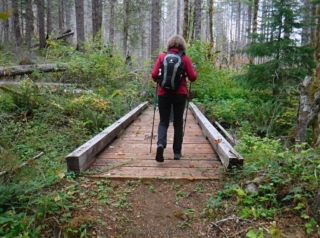 We found some bridges over more dry creeks