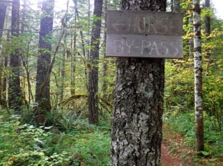 We explored the Horse By-Pass on our way back