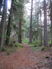 Starting on the connector trail.