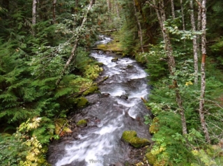 Crossing over the ZigZig River