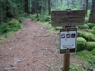 Starting point of the Paradise Park Trail