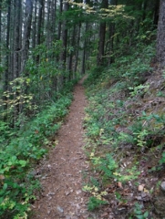 Start of the up hill on the first switchback