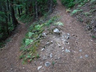 Going up the switchbacks