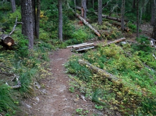 The first bridge is a landmark I look for.