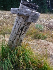 Junction with the Paradise Park Loop Trail