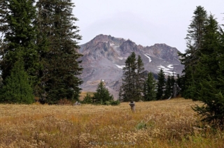 View of Mt. Hood at the Junction