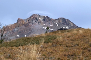 On route to the last tree on the user trail