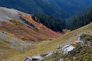 Looking down to some Fall color below me.