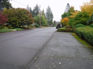 Mostly wondered streets in the neighborhood