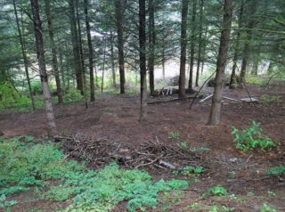 Our destination was a new wetland area that we found was still under development