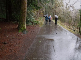 The sky opened the flood gates and we headed for the car.