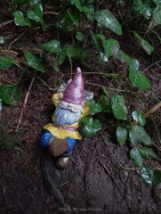 It is a great place to be a gnome