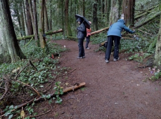 Sylvia, Jeanette and Lori searching along the trail for gnomes.