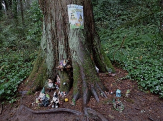 Some trees had gnome villages all around them