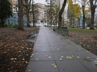 Tom told us about the origin of Chapman Square