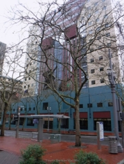 Tom told us about the origin of Portlandia seen here hiding behind some trees