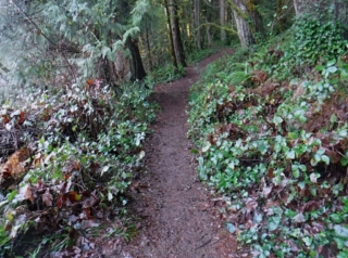 BattleGroundLake_DSCF2605