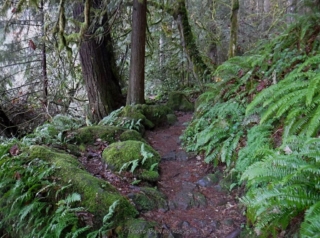 BattleGroundLake_DSCF2633