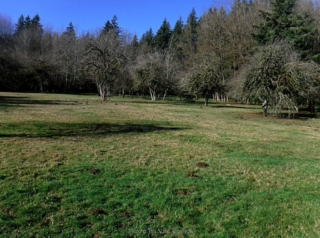 BattleGroundLake_DSCF2669