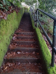 PittockRamble_IMG_20250105_080322740