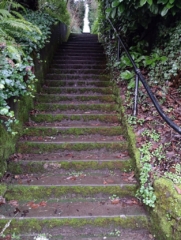 PittockRamble_IMG_20250105_080525568