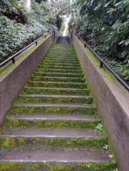 PittockRamble_IMG_20250105_081535896