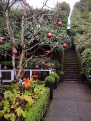 PittockRamble_IMG_20250105_081643653