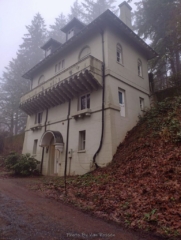 PittockRamble_IMG_20250105_085333422