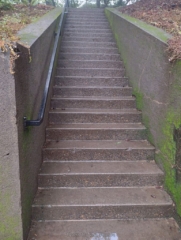 PittockRamble_IMG_20250105_085538205