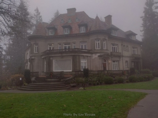 PittockRamble_IMG_20250105_085812402