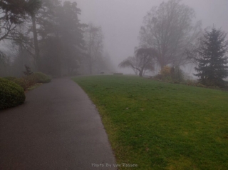 PittockRamble_IMG_20250105_085817912