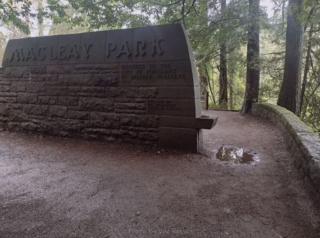 PittockRamble_IMG_20250105_092842448