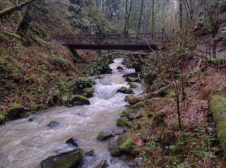 PittockRamble_IMG_20250105_093720962