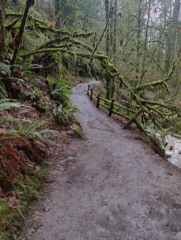 PittockRamble_IMG_20250105_093753107