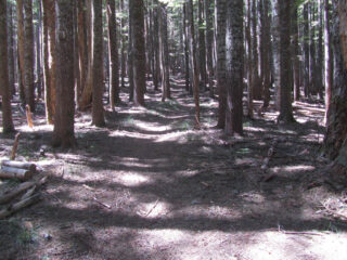 What this was like in 2017