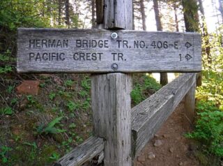 Taking trail to the PCT
