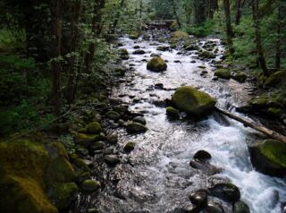 Early morning light on Herman Creek
