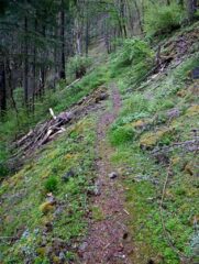 Trail start to climb