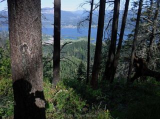 View through trees at first camp site