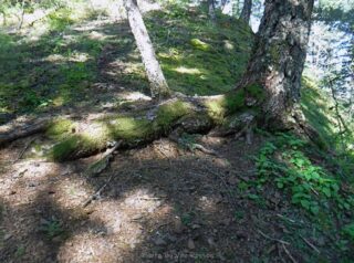 This spot became rest stop and first aid stop